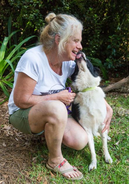 Big Sky Promotes Education Compassion When It Comes To Stray