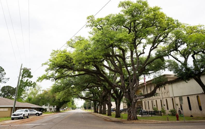 Louisiana unveils new monument to Colfax race massacre News