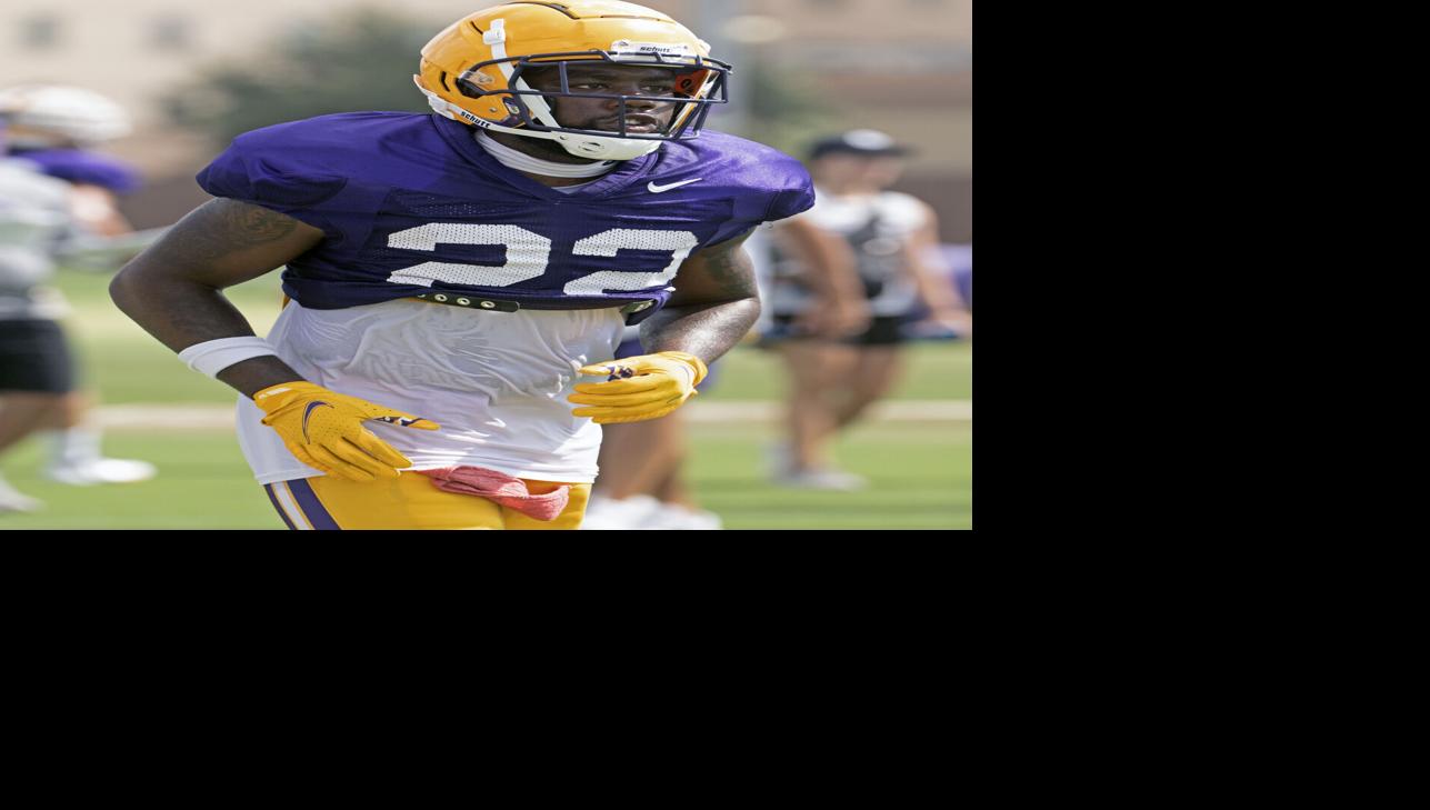 LSU, Florida State used the transfer portal to rebuild | LSU | nola.com