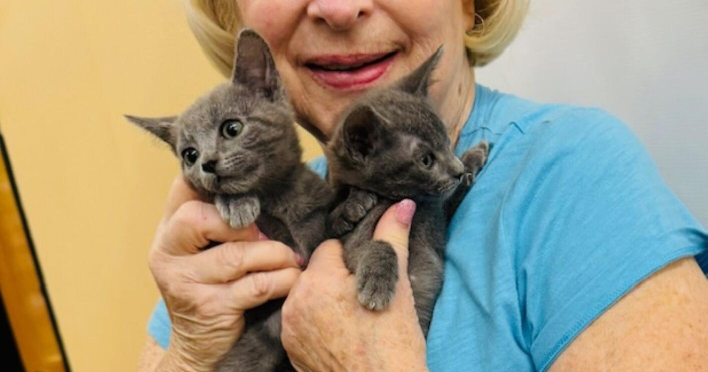 As kitten season arrives, SpayMart honors top volunteer | Entertainment/Life - Vimarsana News