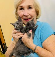 As a new kitten season begins, SpayMart honors a top volunteer helping felines