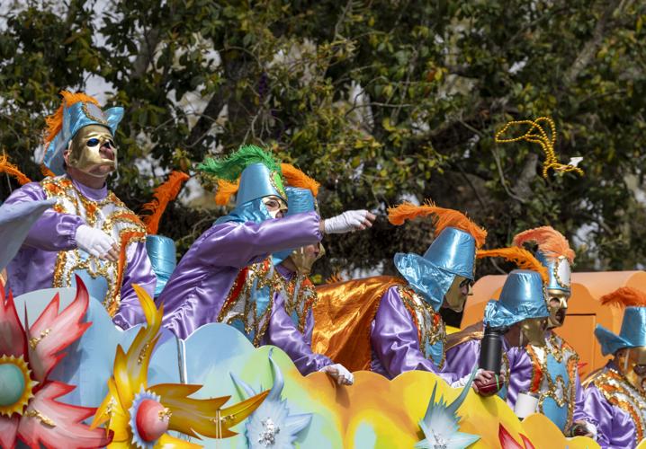 mardi gras tuesday by owner