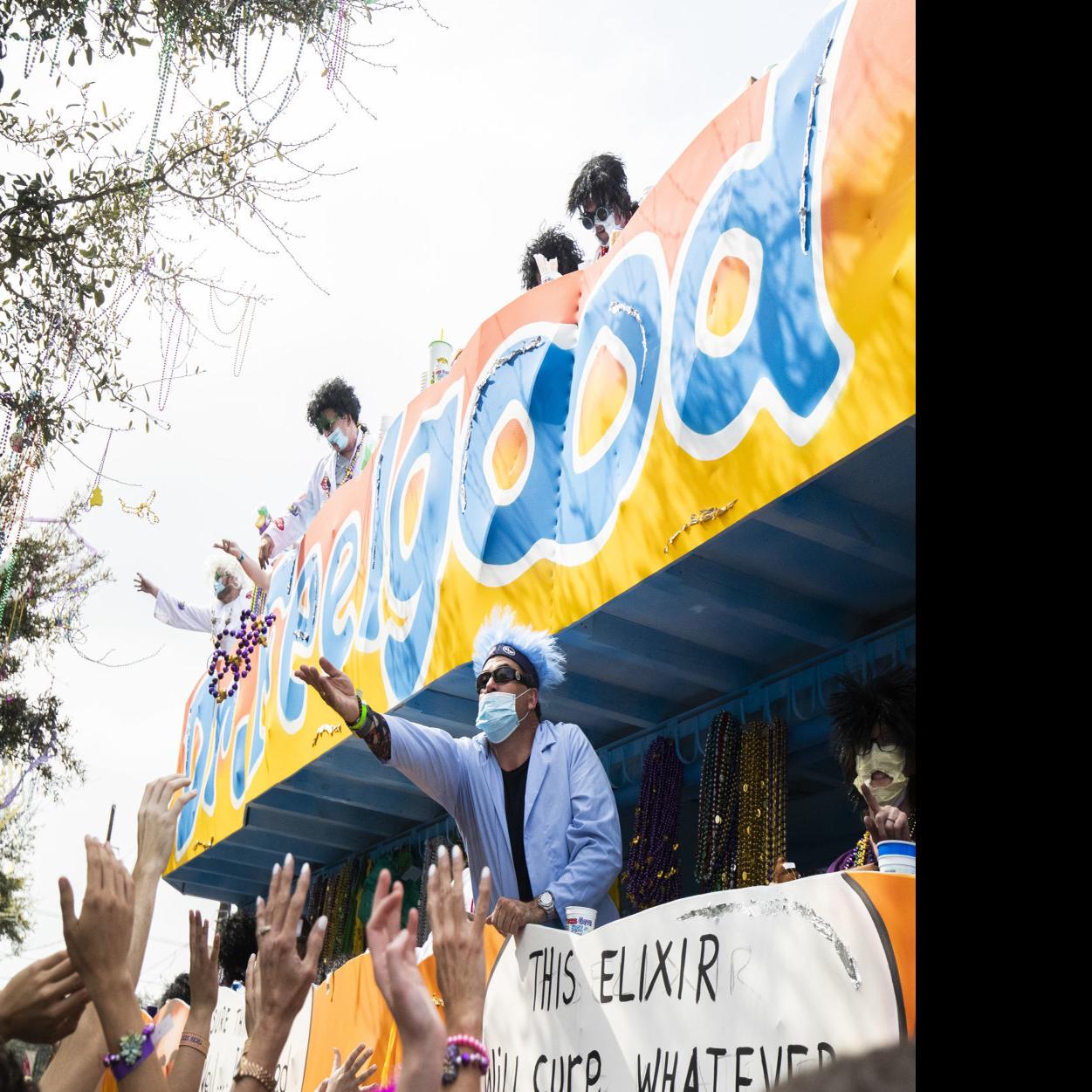 Iris And Tucks Watch Mardi Gras In New Orleans Live On Parade Cam