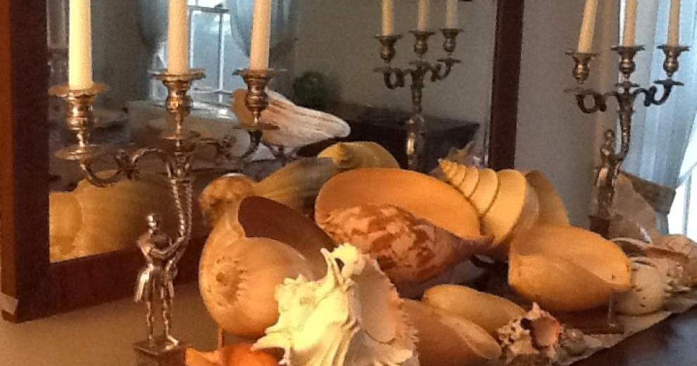 Collection Of Shells Show Collectors to meet, show off shells from all over at weekend show ...