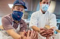 Facing their own crisis, New Orleans restaurants are 'still stepping up' for Hurricane Laura relief