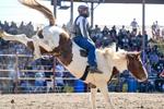 BR.angolarodeo.ADV.0111.JPG