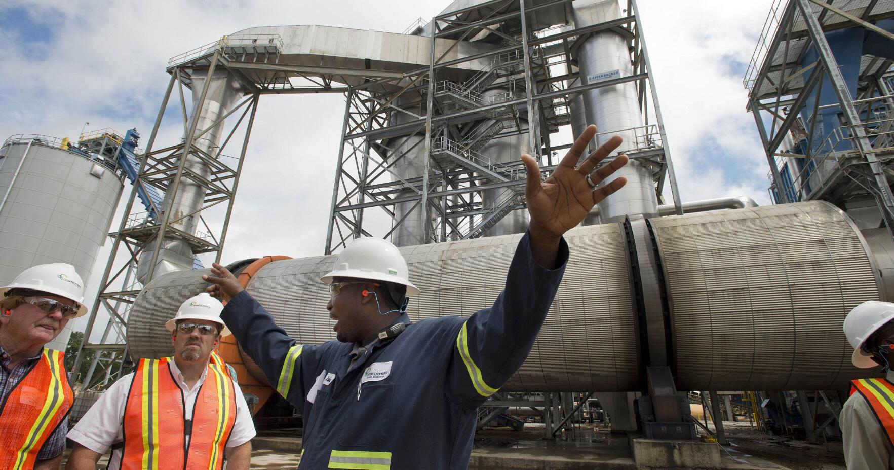 Testing lacking for Louisiana mill pollution, activists say | Environment - Vimarsana News