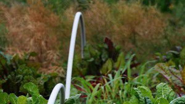 Vegetable Rows North To South Or East To West Home Garden Nola Com