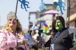 Barkus Parade 20.jpg