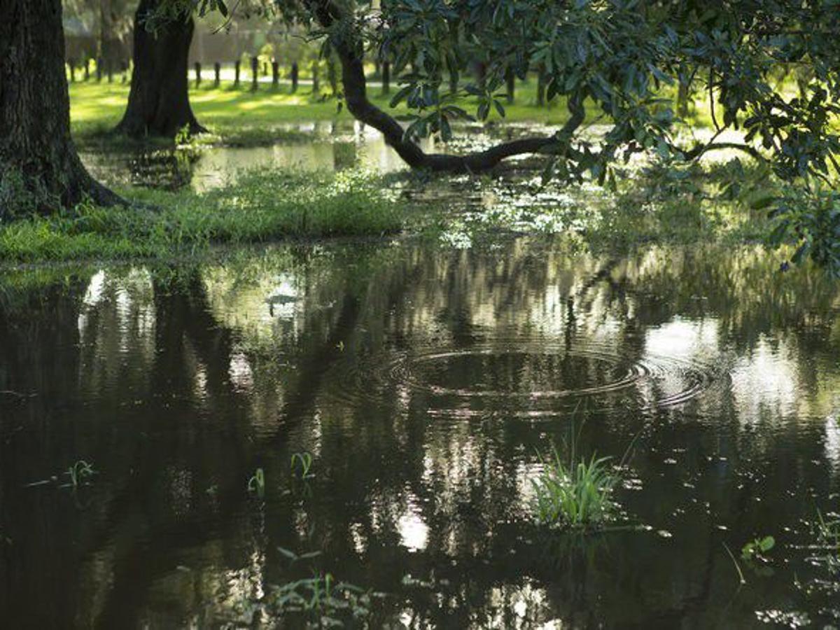 5 Simple Things Homeowners Can Do To Fight Flooding And Improve Drainage Home Garden Nola Com