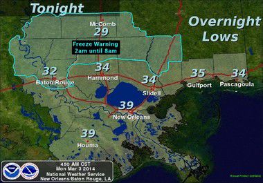 mardi gras weather forecast