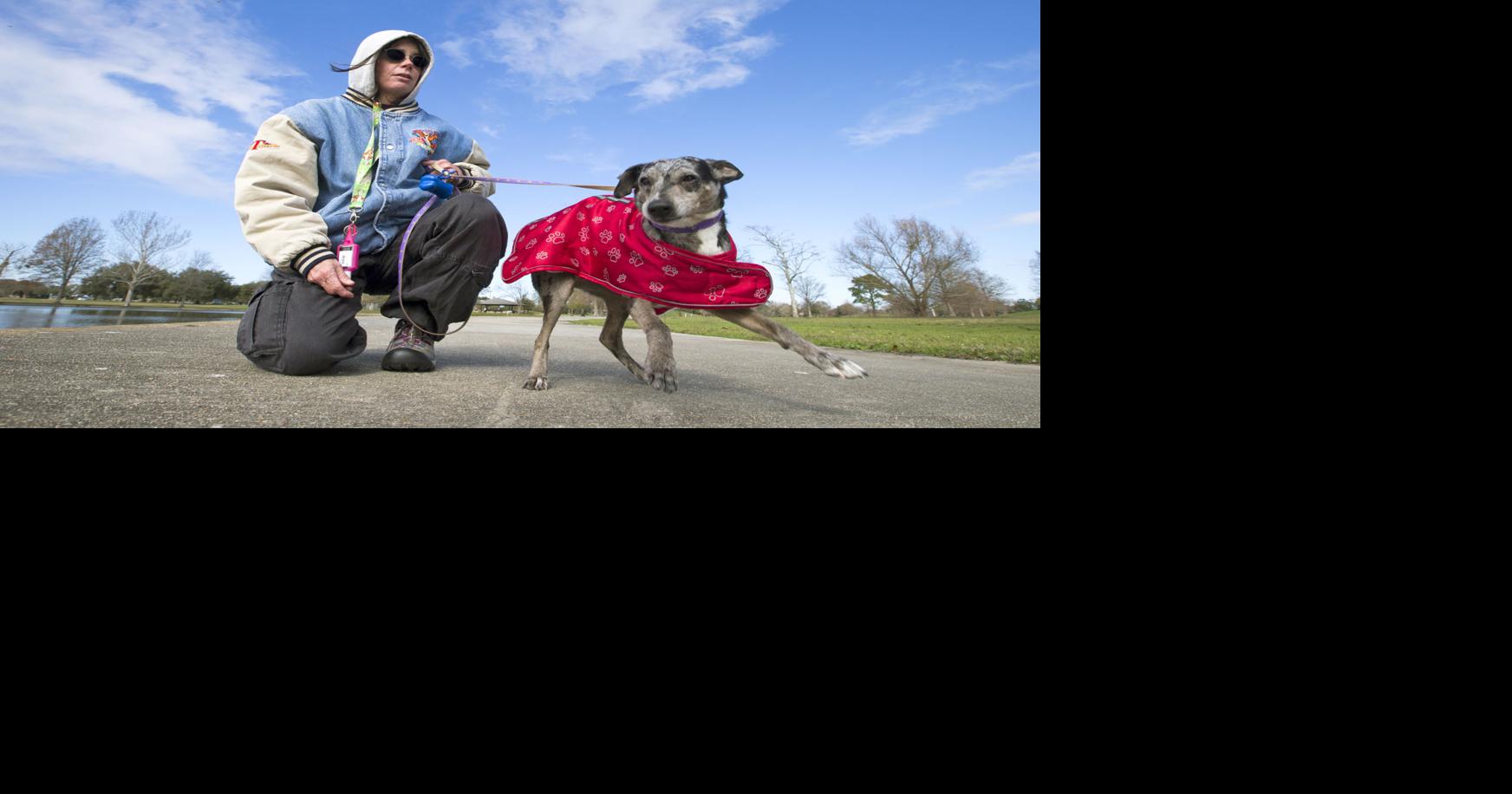 How to care for pets during freezing weather | Entertainment/Life