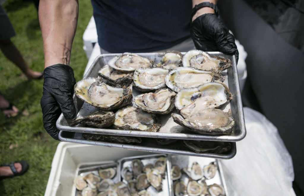New Orleans Oyster Festival Bivalves 2 dozen ways, contests and music