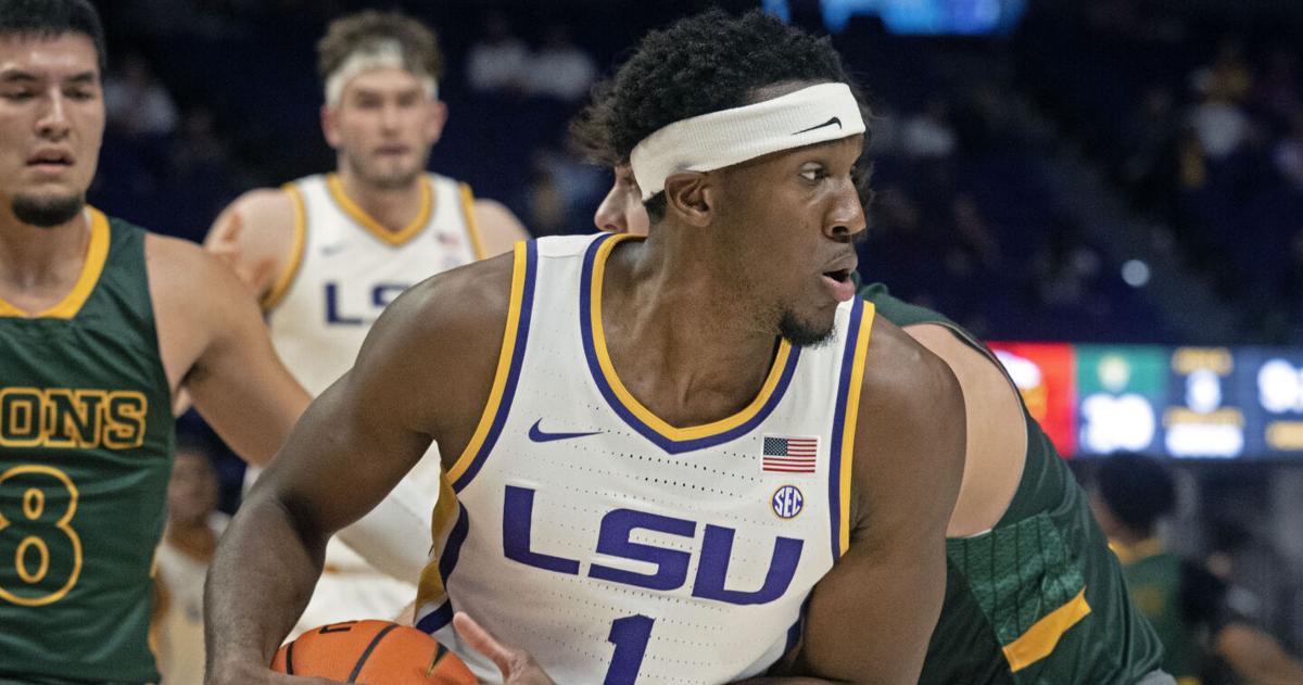 LSU guard Carlos Stewart has entered the transfer portal | LSU | nola.com