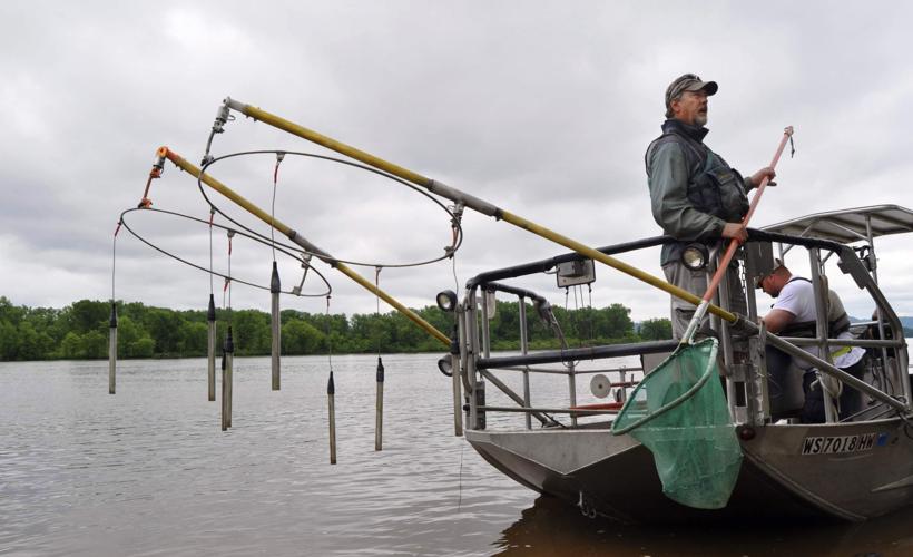 Reshaping the Mississippi is unraveling wildlife habitat: The River's  Revenge, Environment