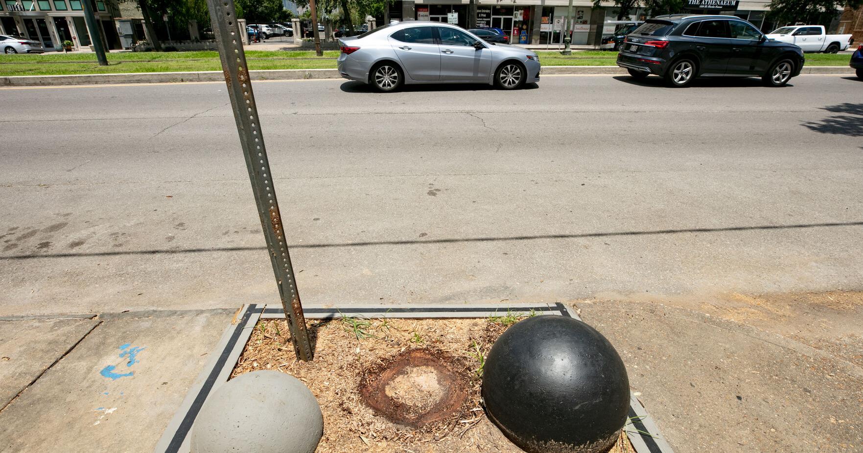 Live oak on St. Charles Avenue illegally cut down, city says | News - Vimarsana News