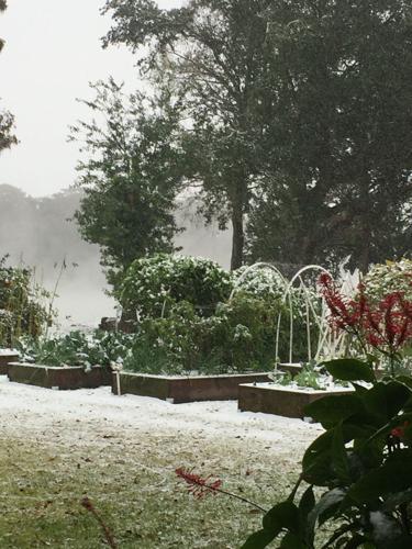 South Louisiana's snow day: A rare December storm brings snow, sleet ...