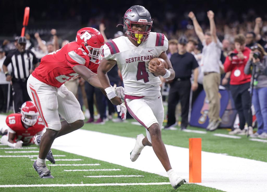 Destrehan Wildcats State Championship Printed Tee