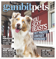 Gambit PETS (Spring 2021)