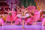 Nutcracker