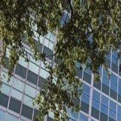New Director Tapped For City Safety And Permits Department Local Politics Nola Com