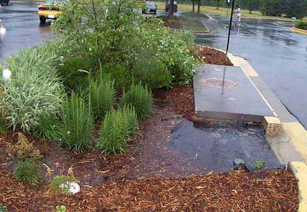 Alternate methods for dealing with New Orleans area stormwater focus of workshop series