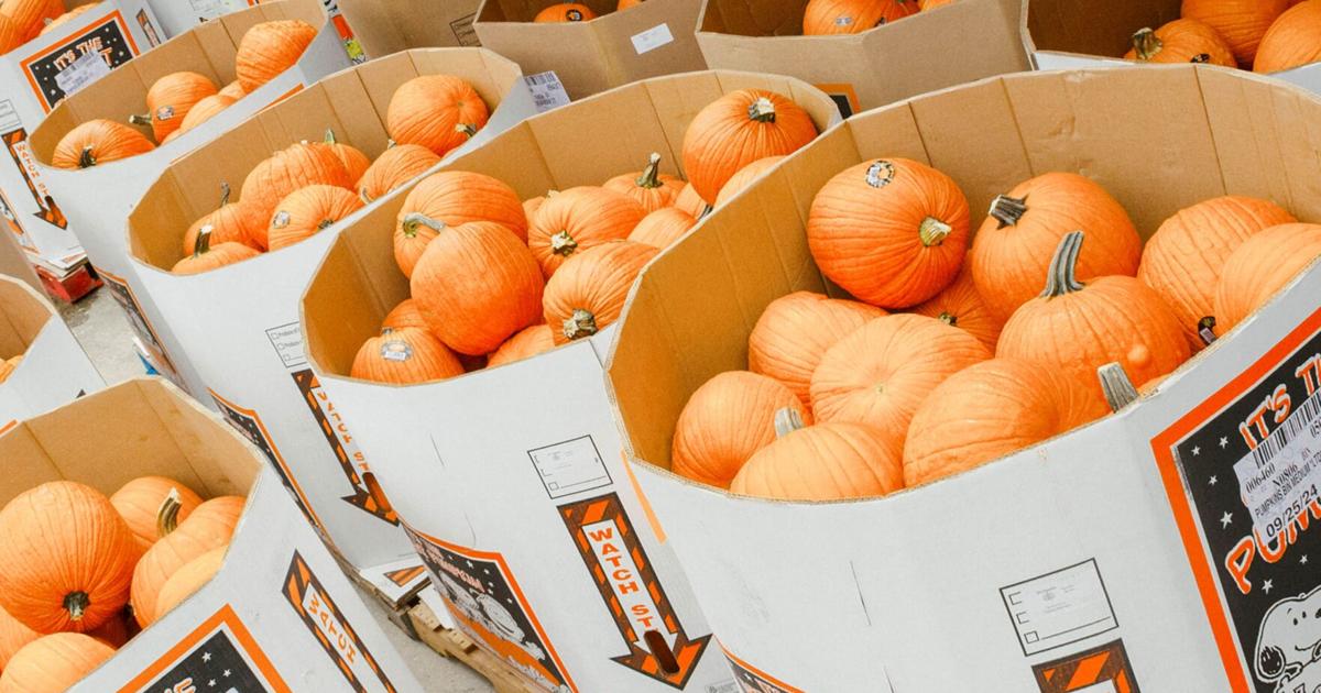 Toups Family Meal Presents a Traveling Pumpkin Patch Toups Family Meal Presents a Traveling Pumpkin Patch