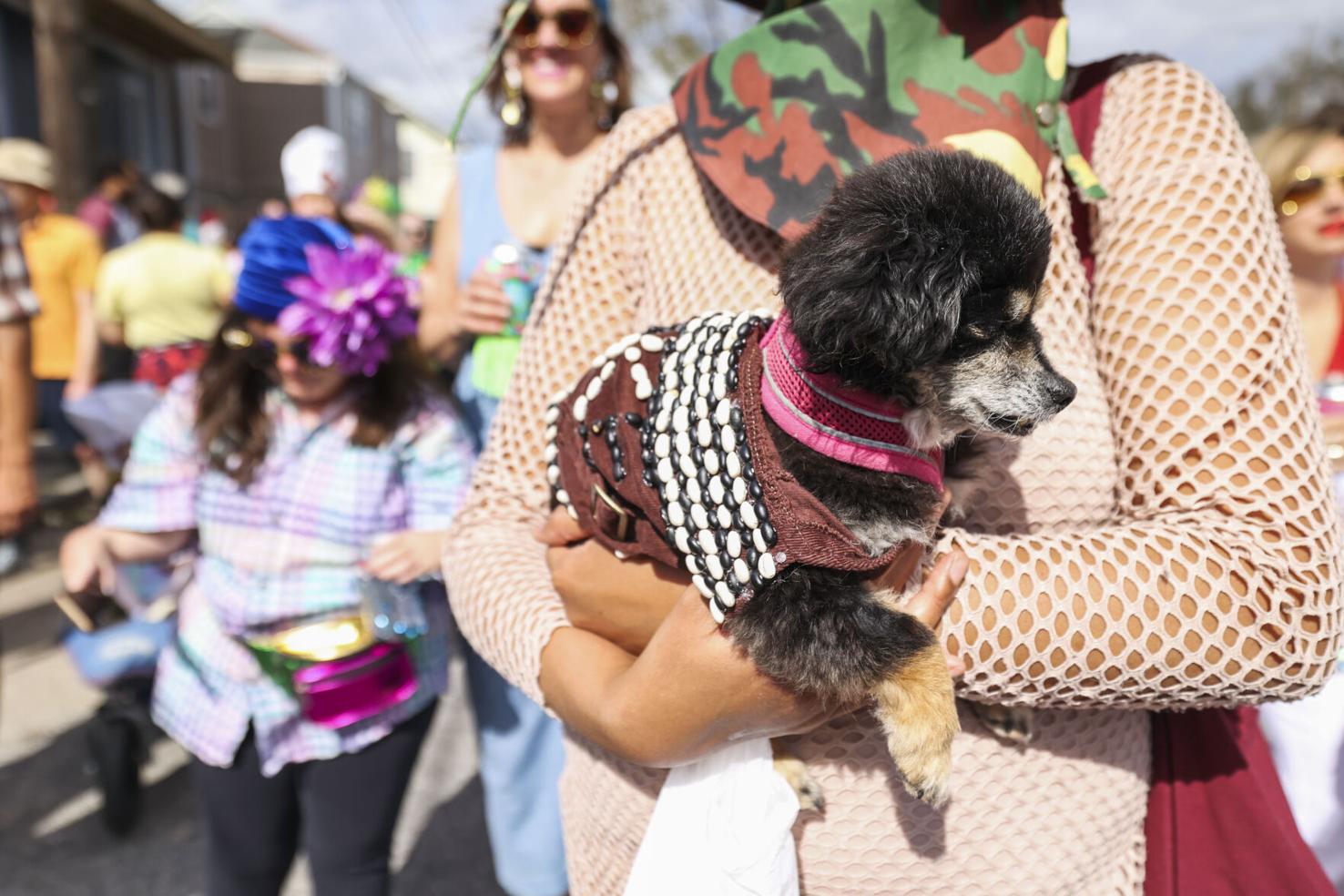 Krewe of Red Beans marches on Lundi Gras Entertainment/Life