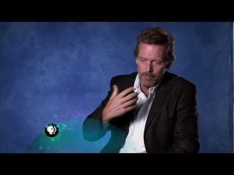 Hugh Laurie Great Performances Episode Captures New Orleans Concert Movies Tv Nola Com