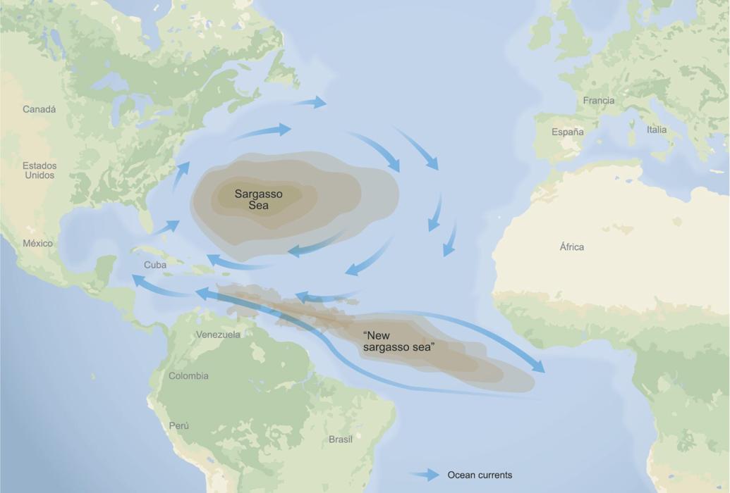 Sargasso Sea map