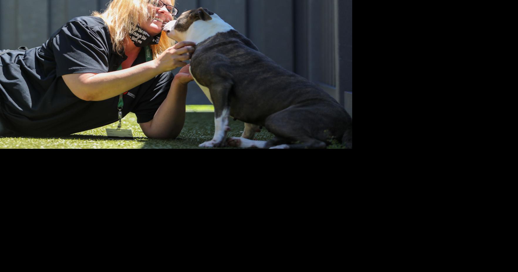 Jefferson Parish animal shelter renamed JPAWs, turning page from past ...