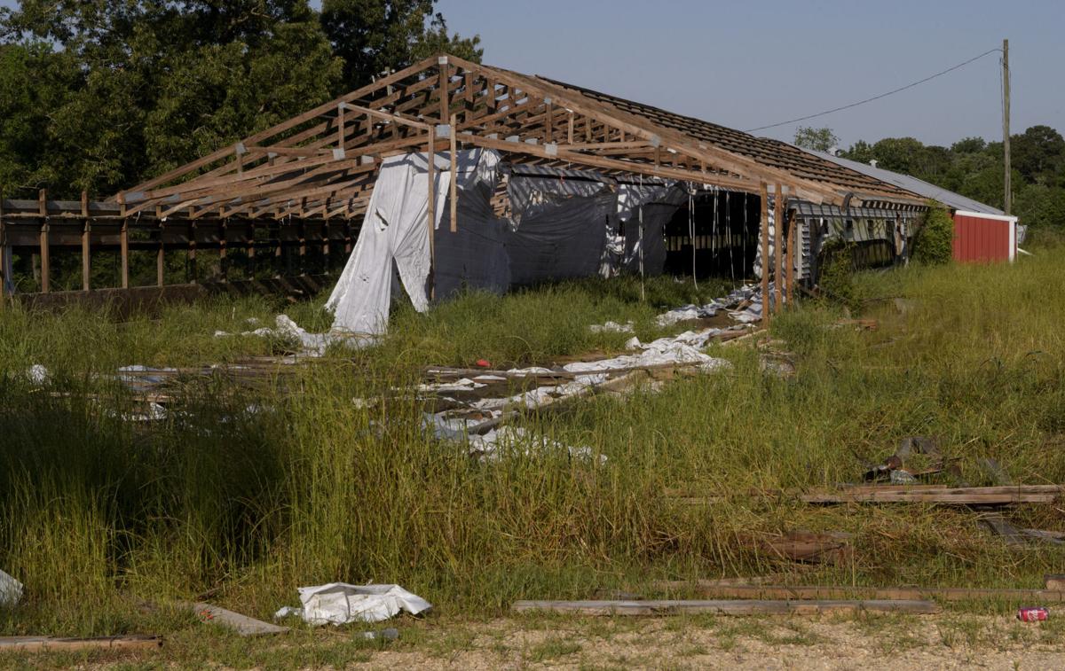 Scheme That Left Ex Louisiana Racehorses Dead Nets Penalties For New Jersey Horsewoman Crime Police Nola Com Dina alborano, head of the icareihelp racehorse rescue program spearheaded by online and social media drives, has agreed to pay civil penalties after depositing the donations into personal accounts. scheme that left ex louisiana