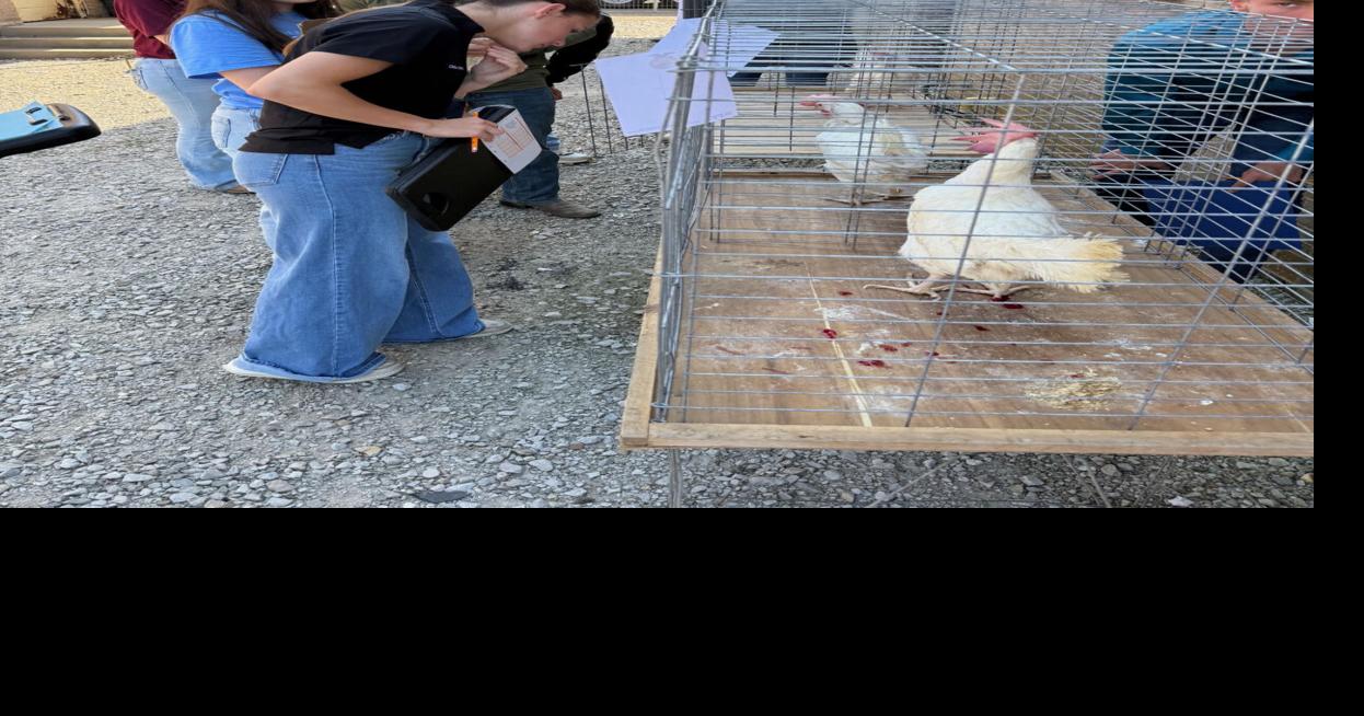 Fontainebleau High FFA in a nationwide FFA exchange