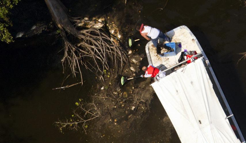 Bogalusa paper mill discharge settlement money paid, newspaper reports