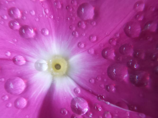 Slidell Photo Club holds digital competition St. Tammany community