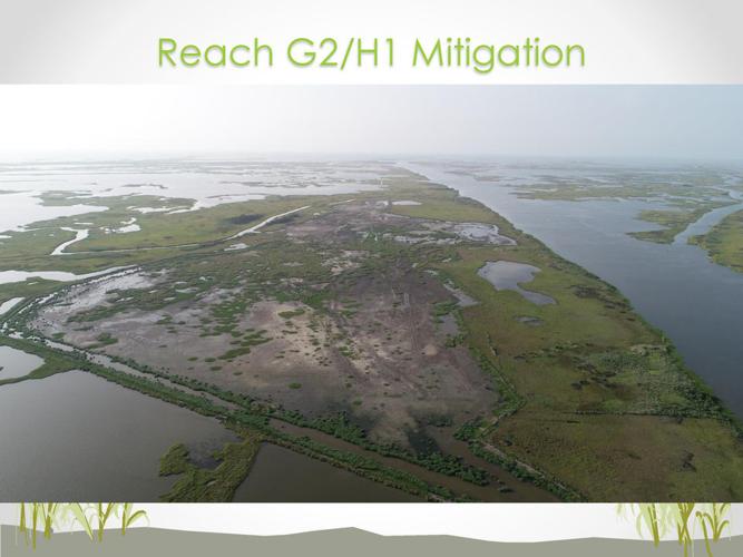 Louisiana coastal officials demand Congress approve money for to the Gulf levee