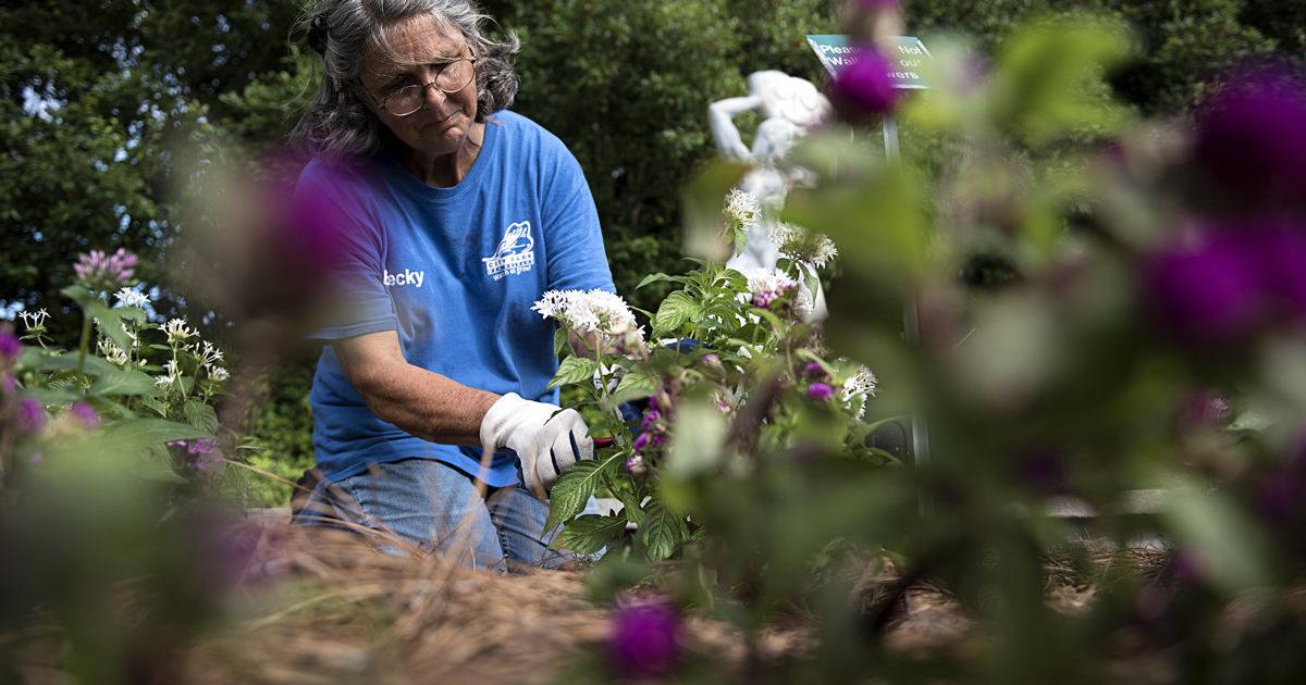 A few dirty secrets in the garden: 6 steps you need to know to prepare the soil for your flower beds |  Home & Garden
