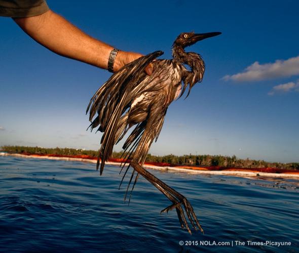 Halliburton, Transocean to pay another $1.24 billion for BP spill ...