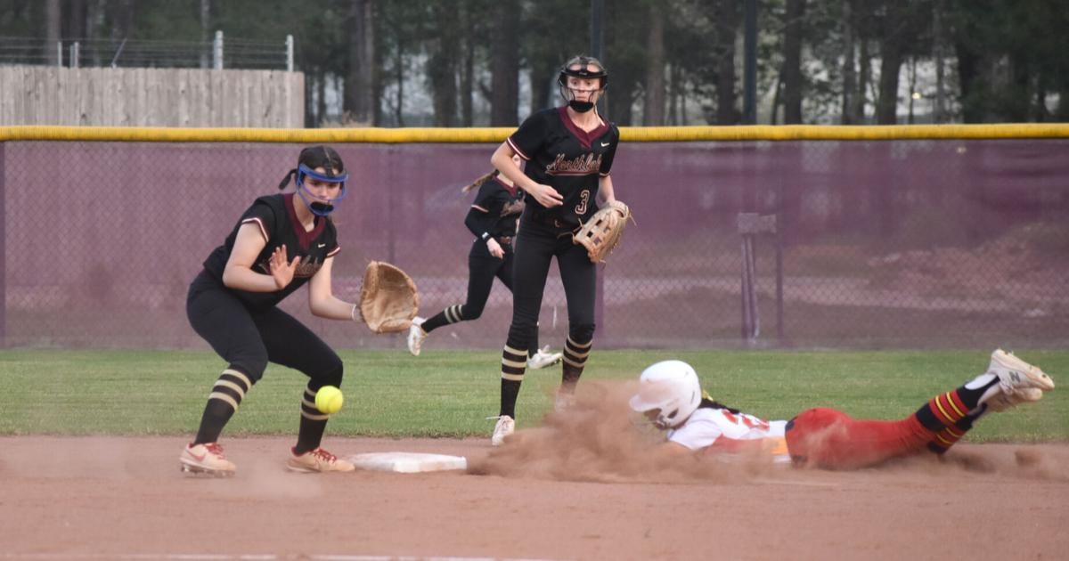 PJP softball wins first district crown since 2014