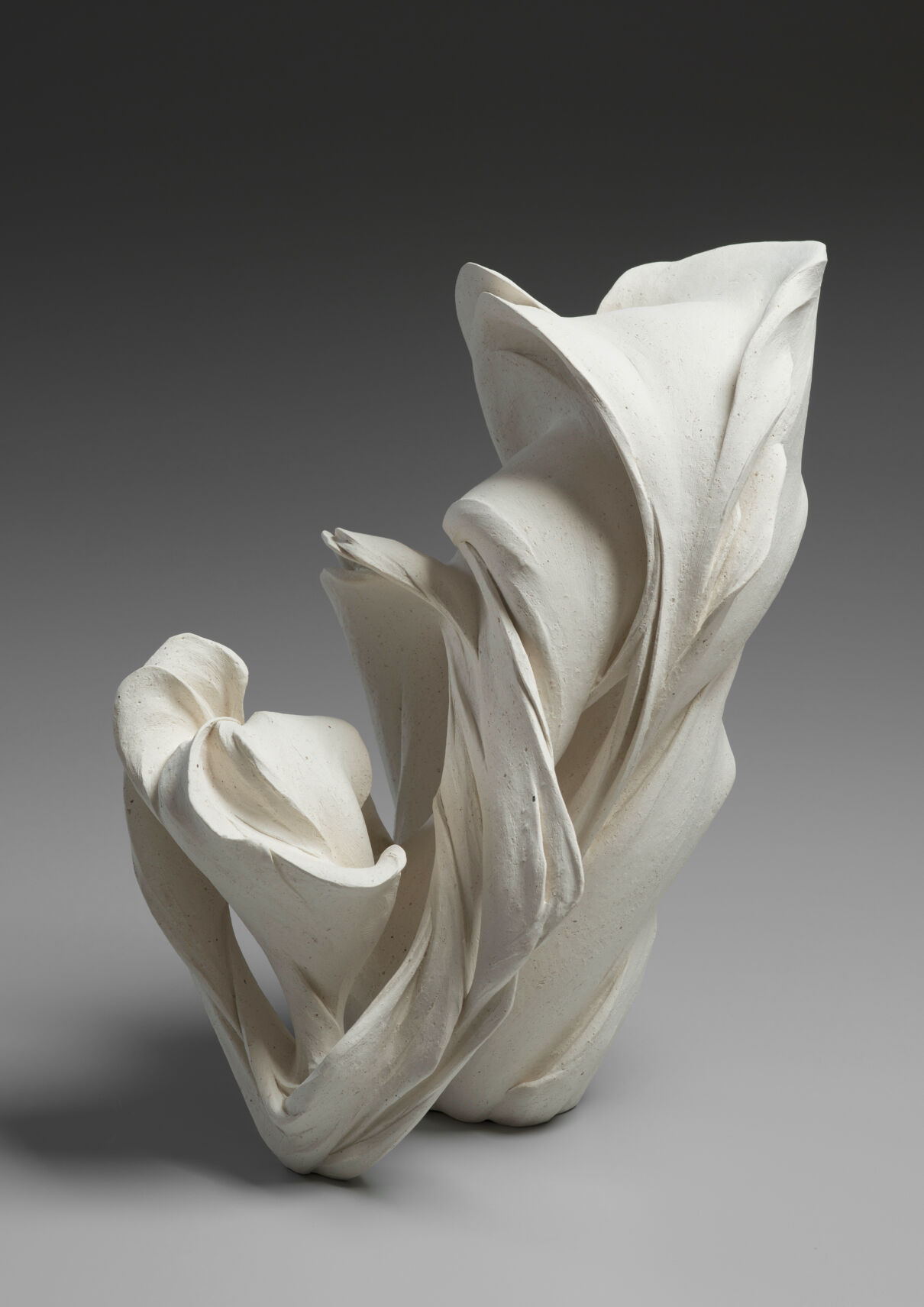 5f151f4632497.image.jpg?crop=