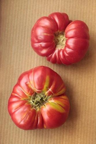 Get heirloom tomato seeds ready now for spring planting | Home/Garden |  nola.com