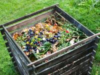 Turn icky leftovers and trimmings into compost, something that's good for your garden