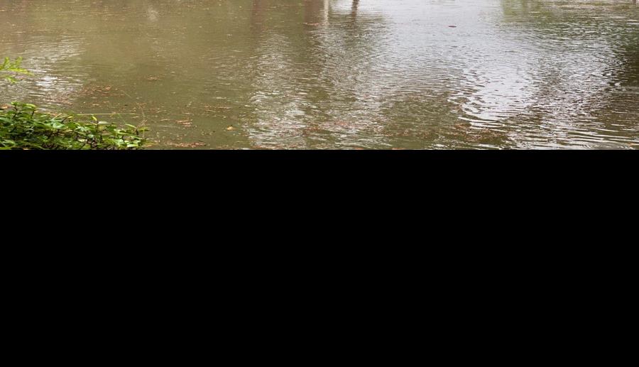 Seven homes flood in St. Charles parish after downpour drops 7 inches