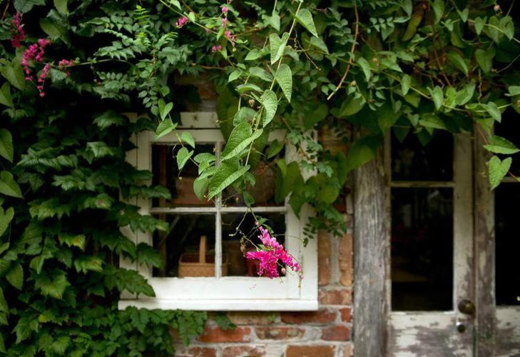 French Quarter home on ‘Secret Gardens’ tour a unique, breathtaking ...