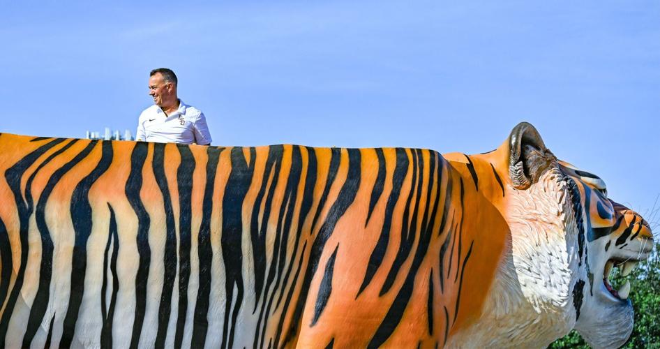 Tiger Float Sample Mardi Gras World CEO creates tiger float for LSU baseball ...