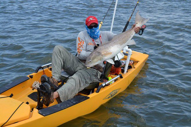 10 fascinating redfish facts | Sports | nola.com