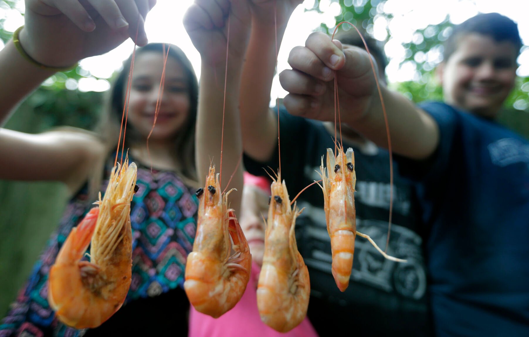 Louisiana Shrimp Should Be Celebrated Like Crawfish | Where NOLA Eats ...