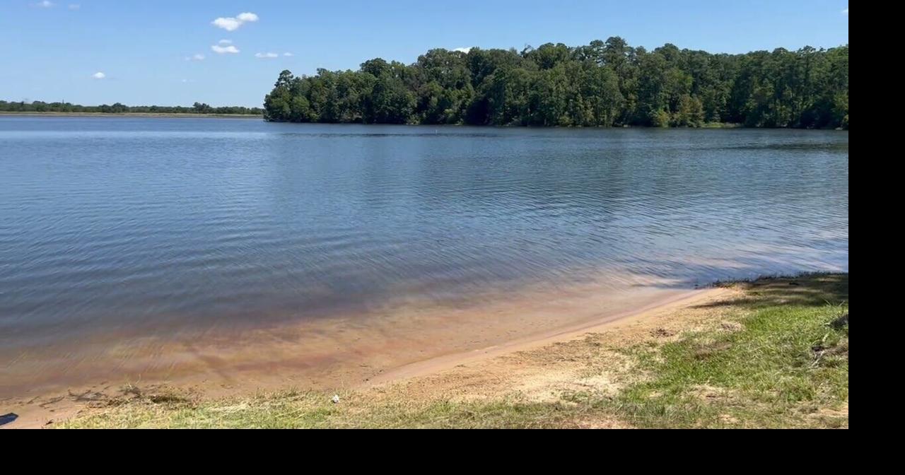 Cotile Lake near Boyce, La., on a sunny, summer afternoon Photos
