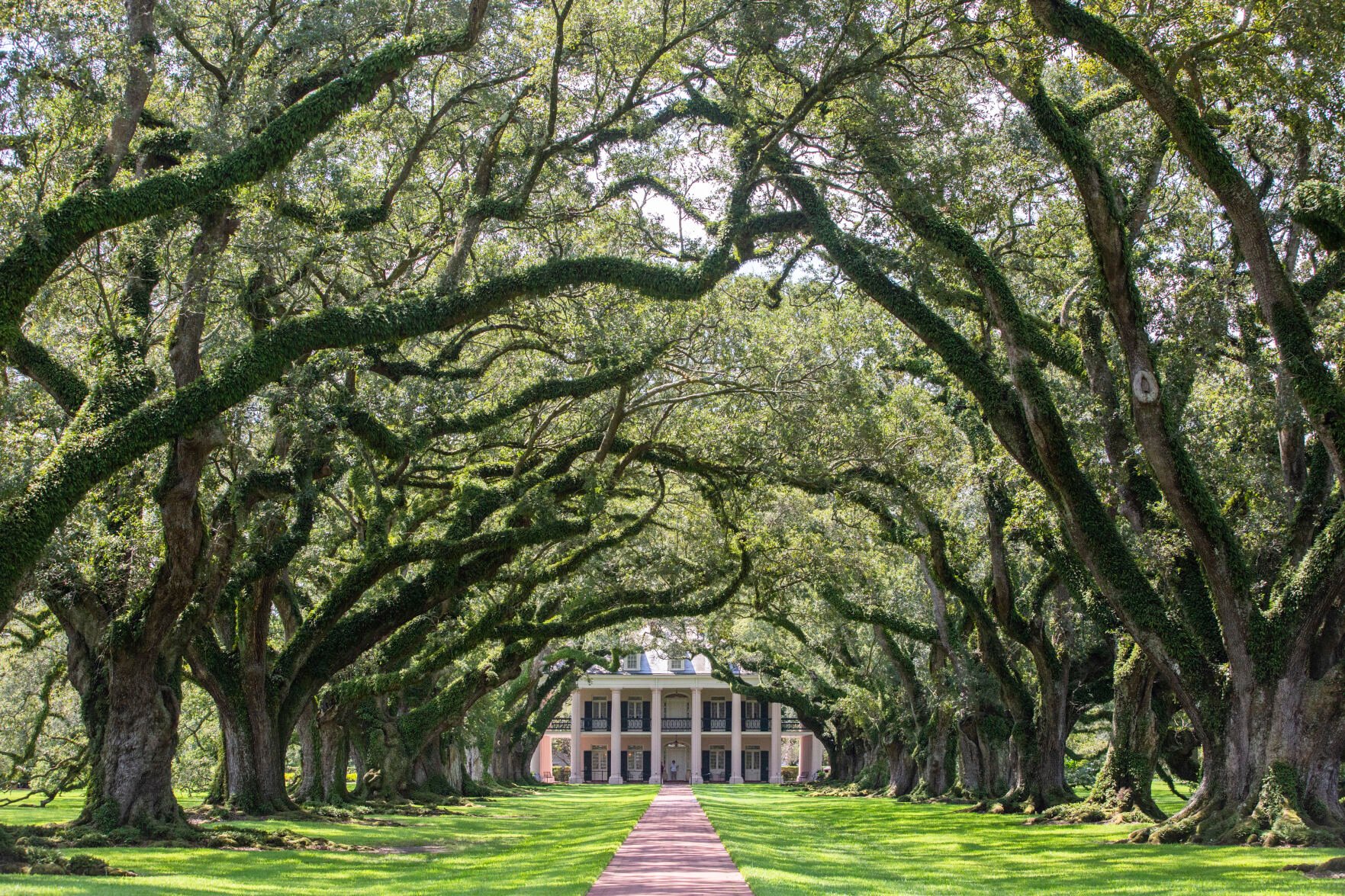 Photos: An Inside Look At Louisiana's River Road Plantations | Photos ...