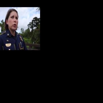 Criminal charges pending against unlicensed bus driver in fatal I-10 ...